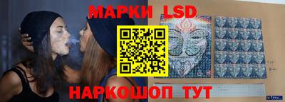 прущие крисы Бийск