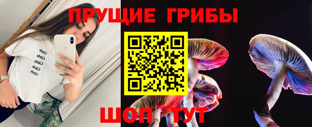 Кемерово  Галлюциногенные грибы MAGIC MUSHROOMS  Вход с VPN 