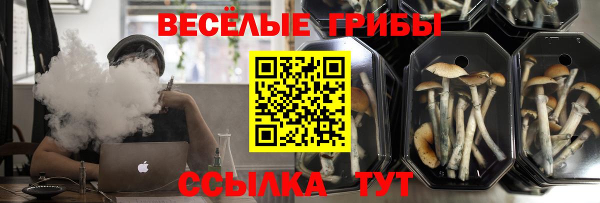 Галлюциногенные грибы прущие грибы Кемерово